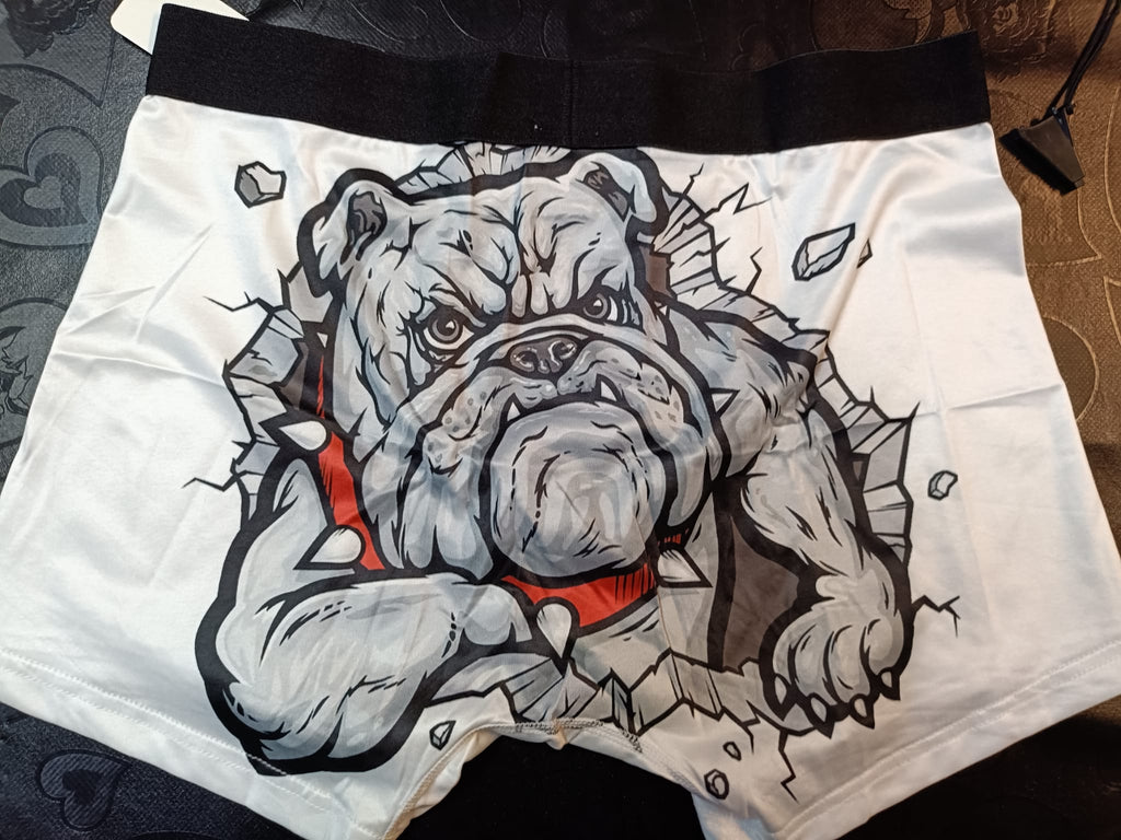 Boxer de Homem Boxer