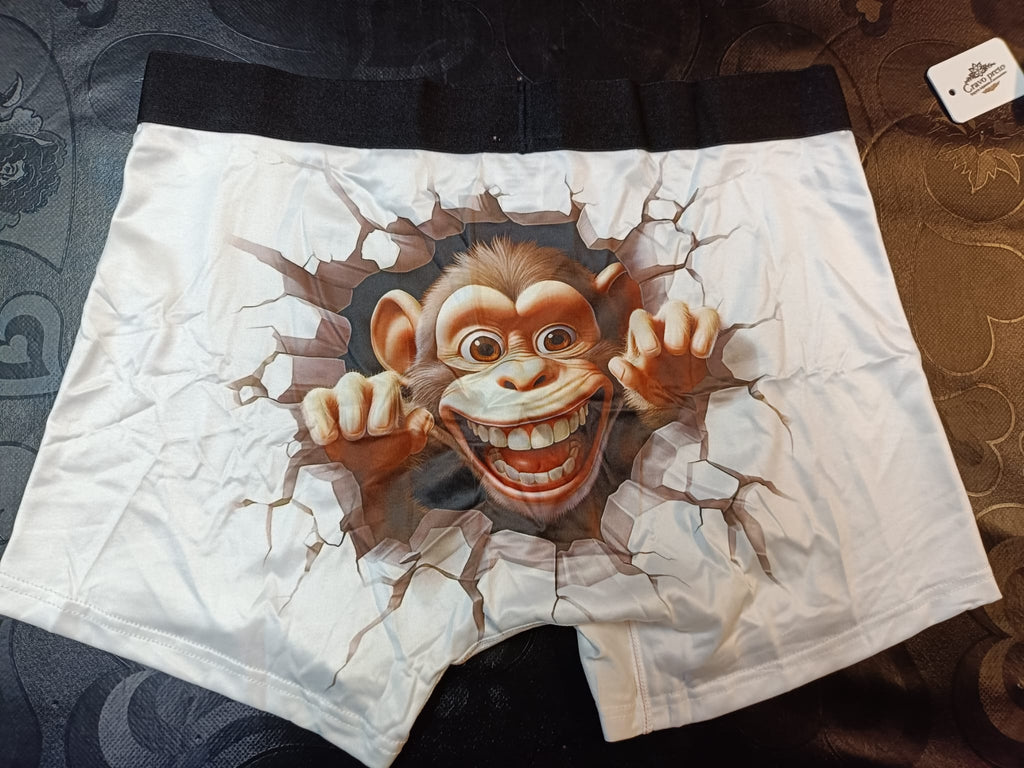 Boxer de Homem macaco