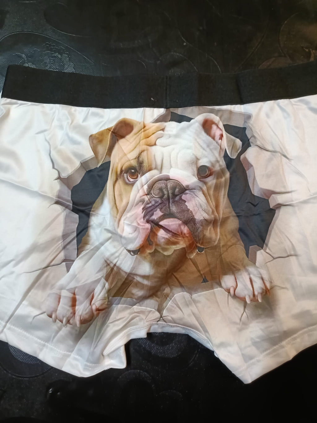 Boxer de Homem boxer