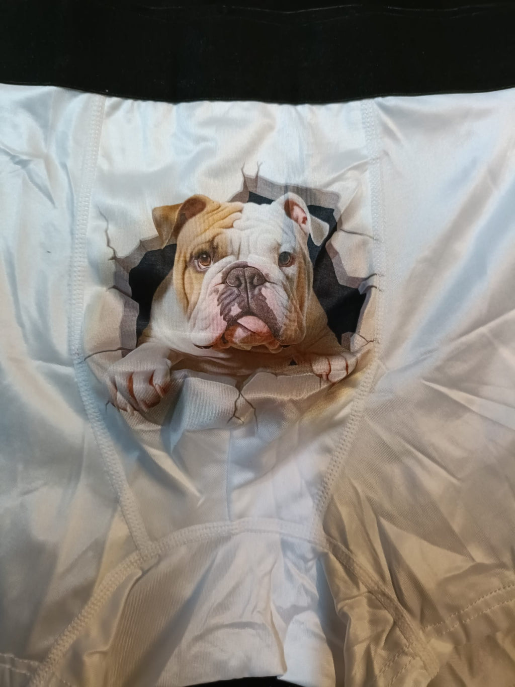 Boxer de Homem boxer