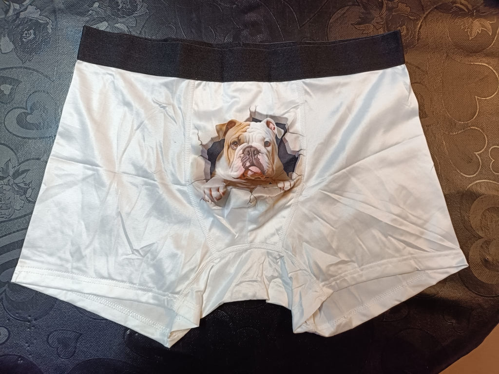 Boxer de Homem boxer