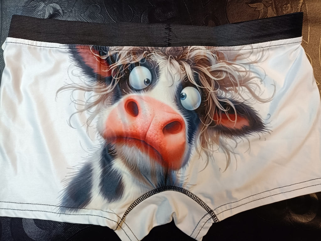 Boxer de Homem vaca louca