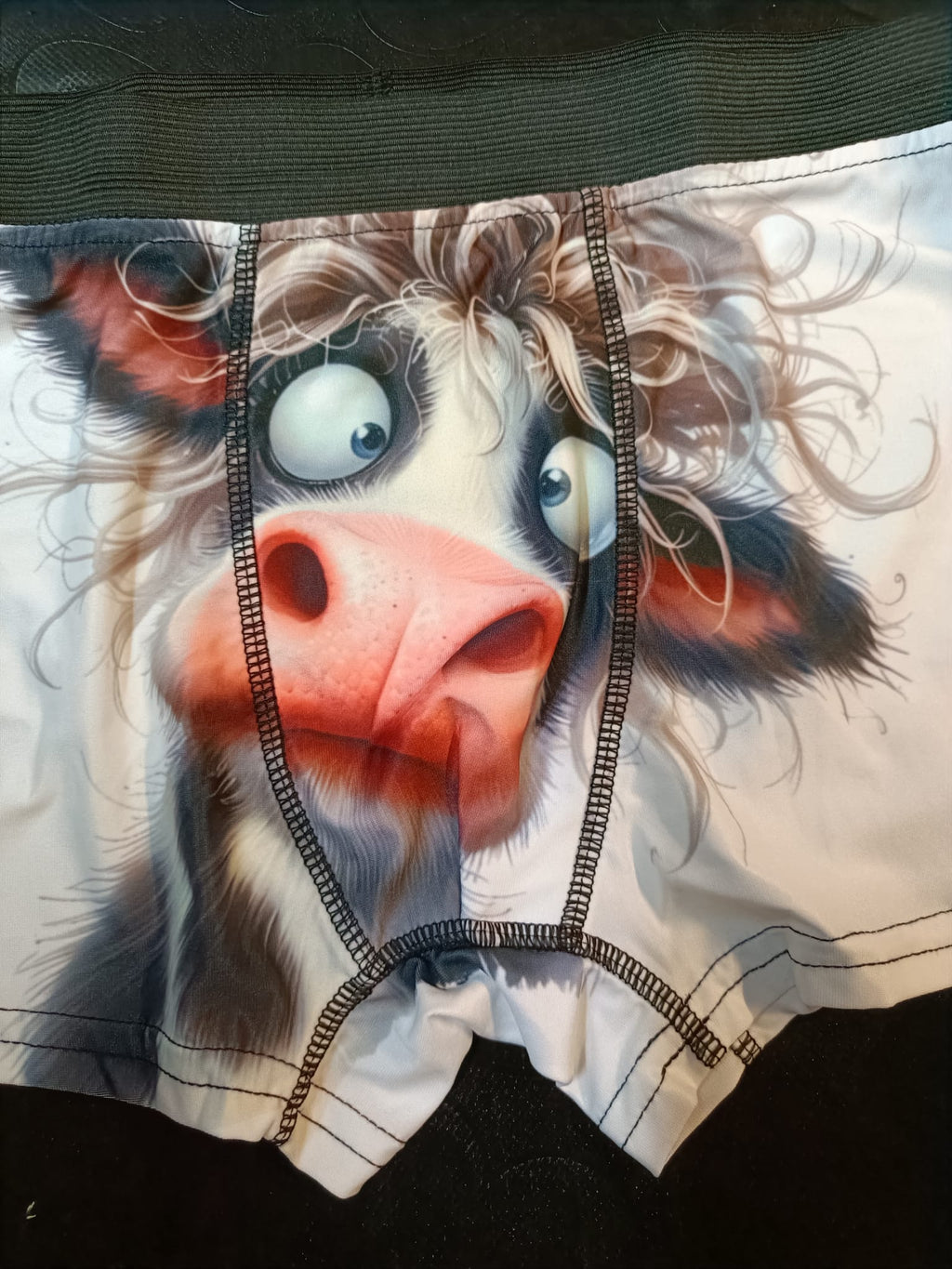 Boxer de Homem vaca louca