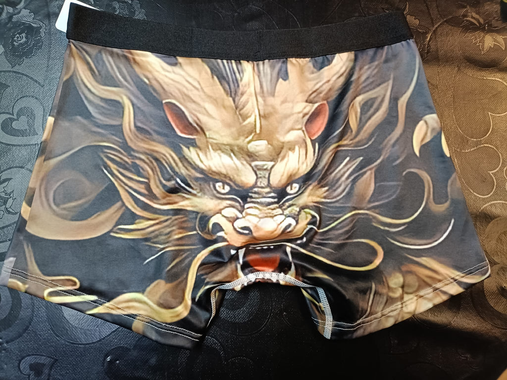 Boxer de Homem dragão