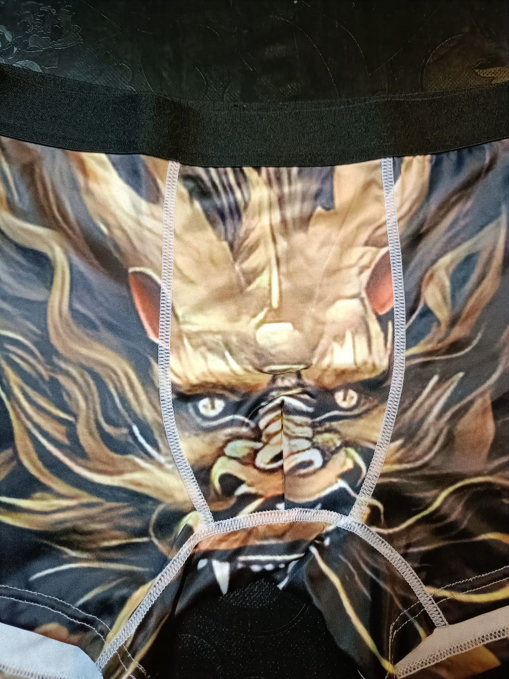 Boxer de Homem dragão