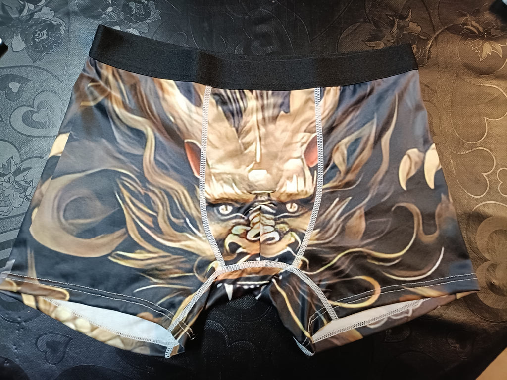 Boxer de Homem dragão