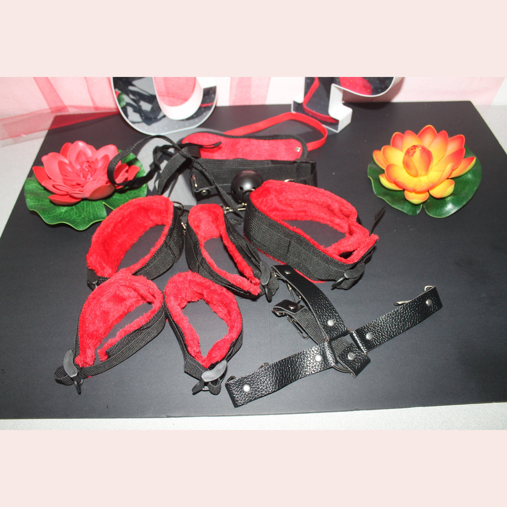 Conjunto de varias peças de sadomasoquismo