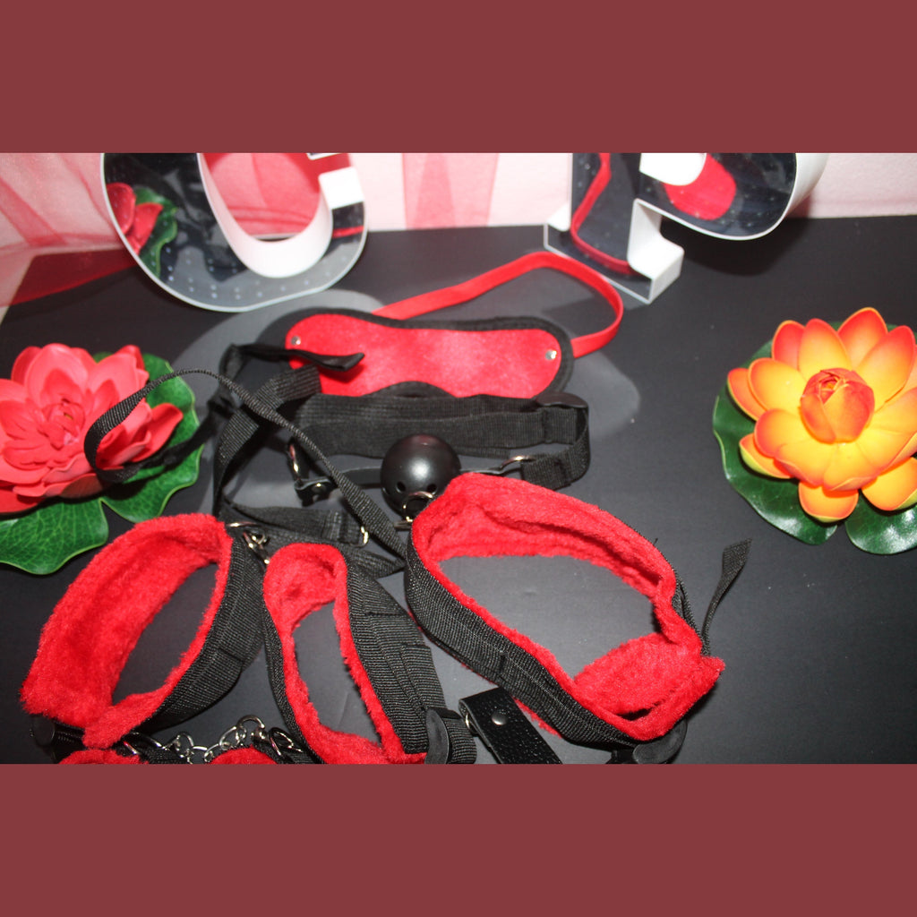 Conjunto de varias peças de sadomasoquismo